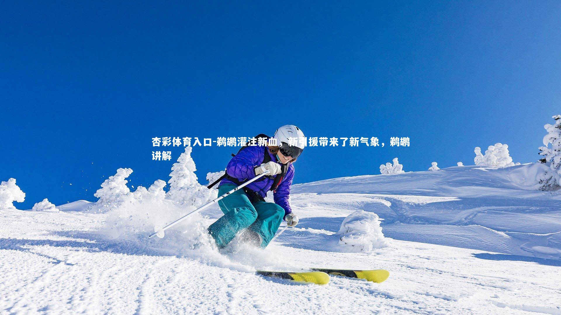 鹈鹕灌注新血，新引援带来了新气象，鹈鹕讲解